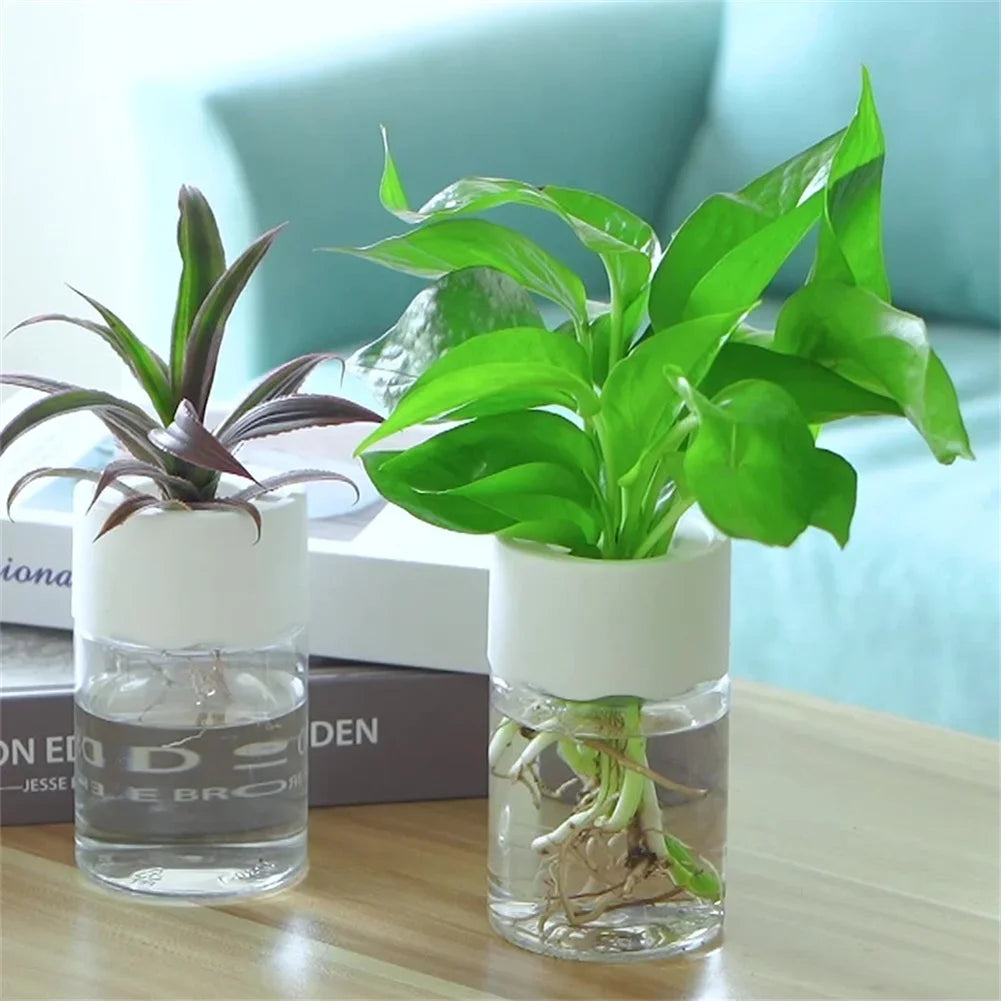 Mini Hydroponic Transparent Vase for Home Plant Decoration