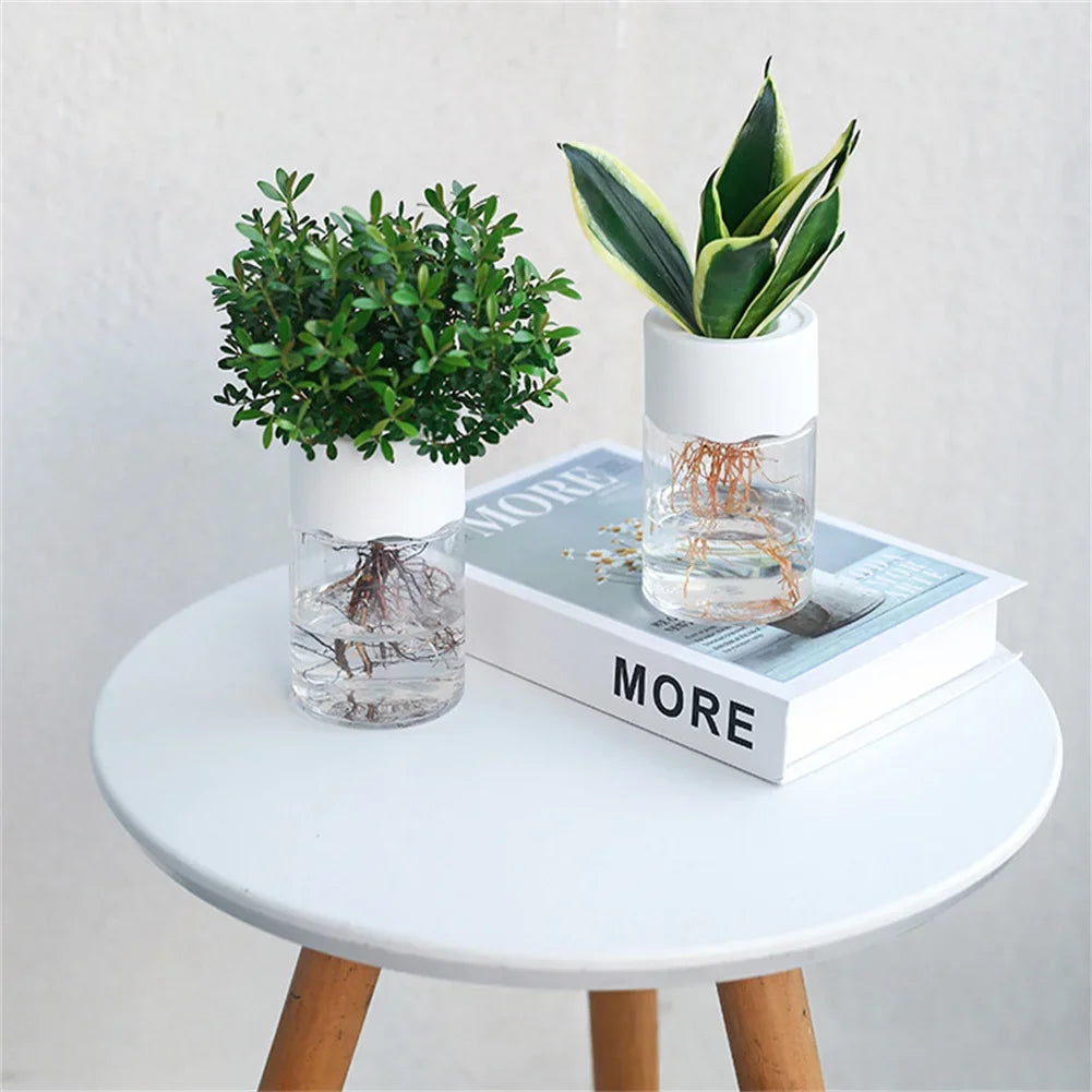 Mini Hydroponic Transparent Vase for Home Plant Decoration