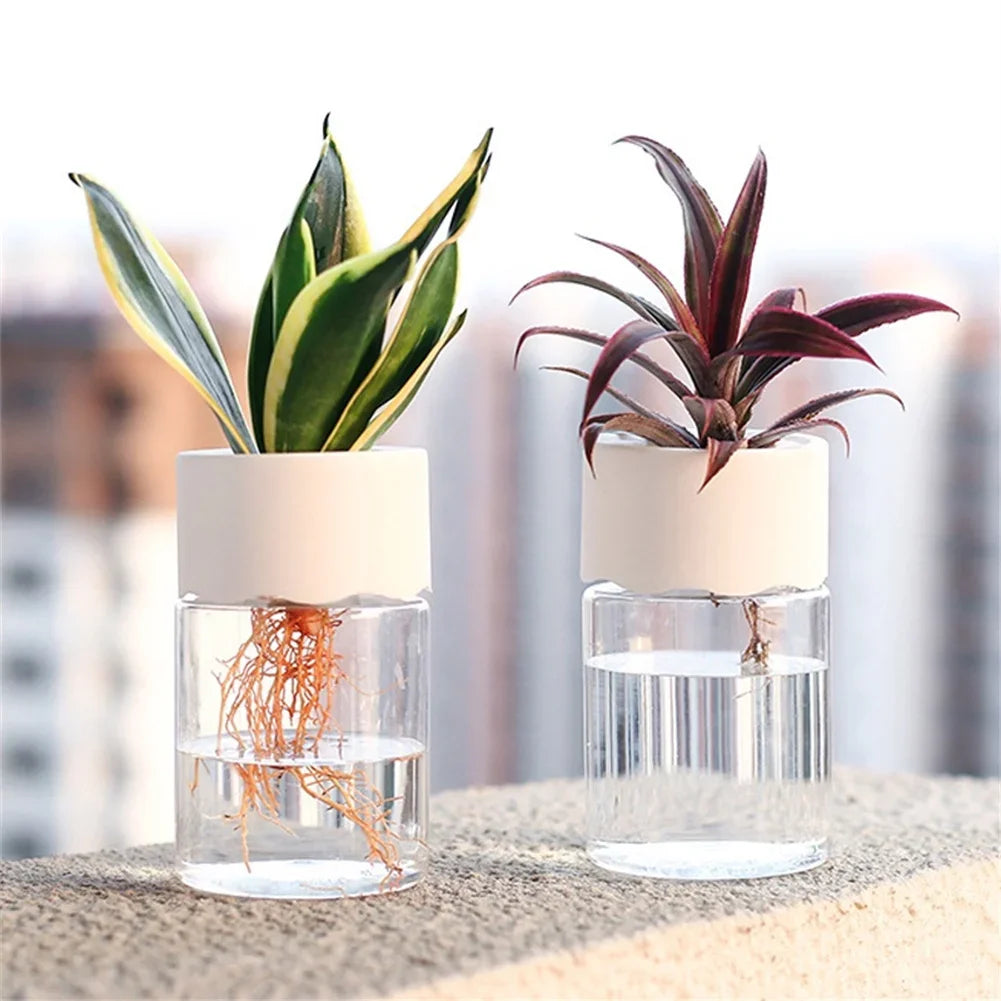 Mini Hydroponic Transparent Vase for Home Plant Decoration