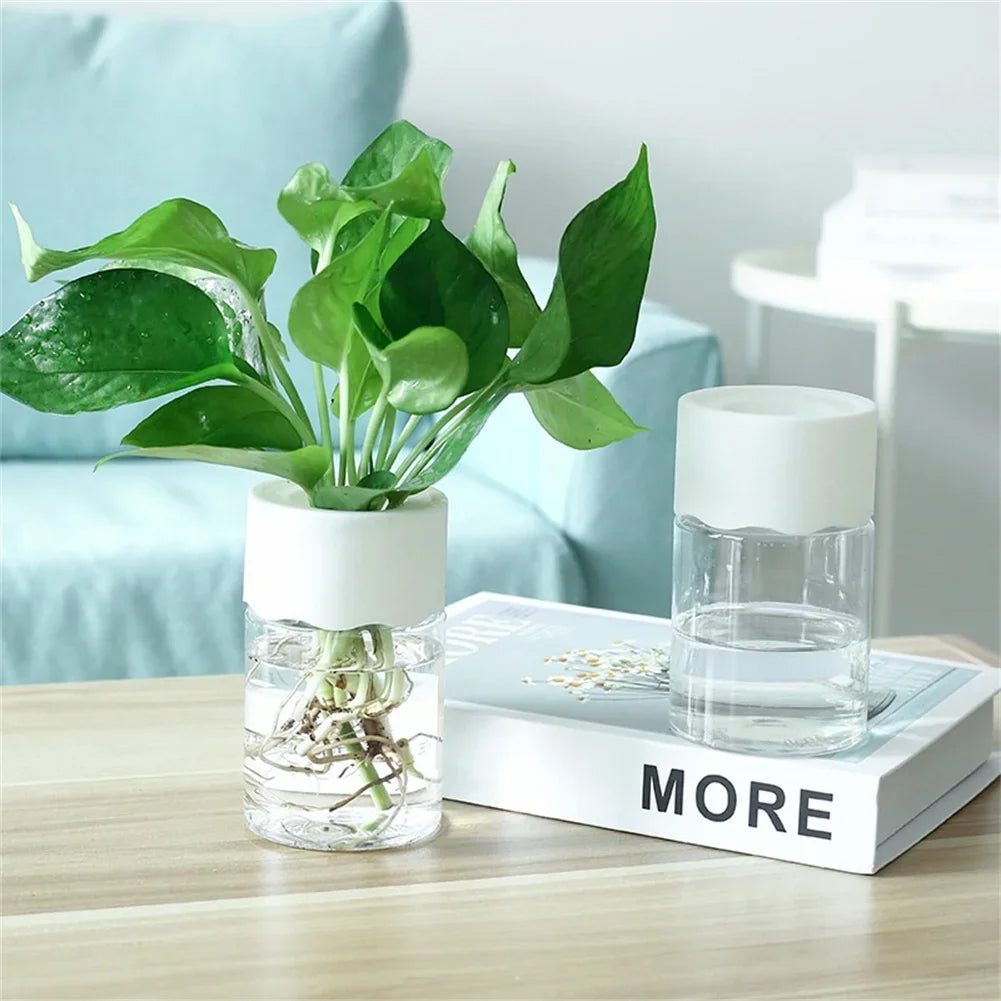 Mini Hydroponic Transparent Vase for Home Plant Decoration