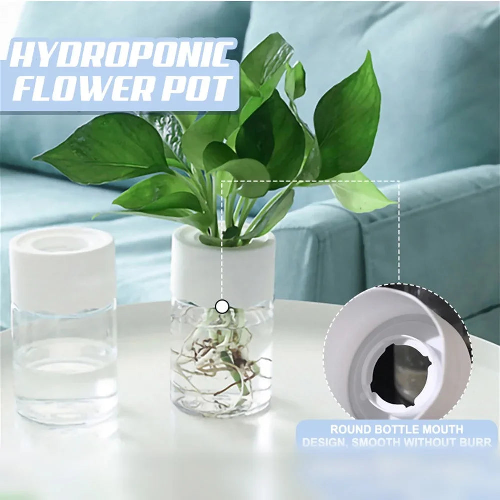 Mini Hydroponic Transparent Vase for Home Plant Decoration
