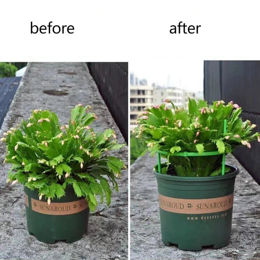 Stackable Plant Support Stakes for Indoor & Outdoor Climbing Plants